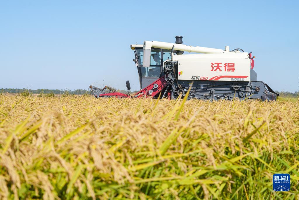 捕鱼游戏电脑网页版